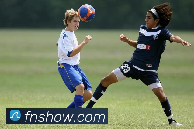 富牛娱乐官网平台生态图